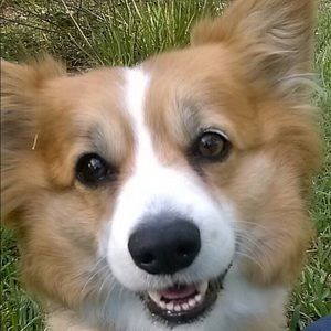 Meet your Posher, Gail